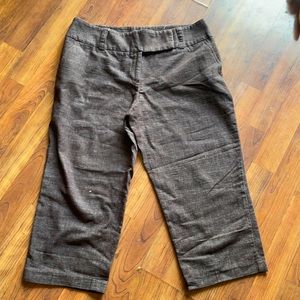 Dressy capris size 10